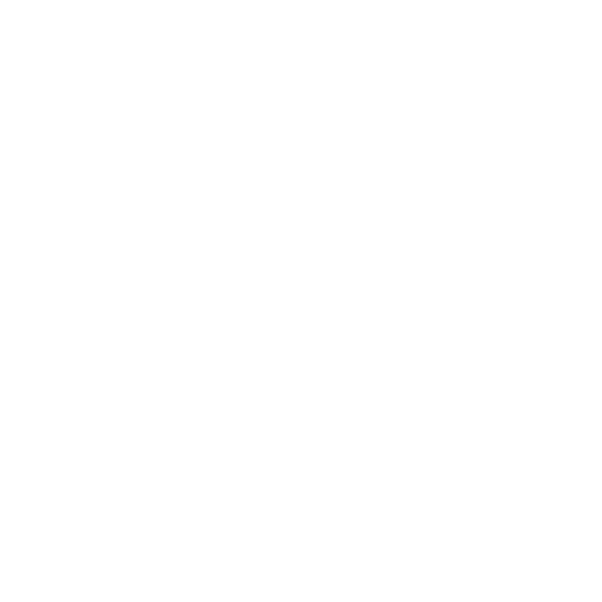 LV Store Importados